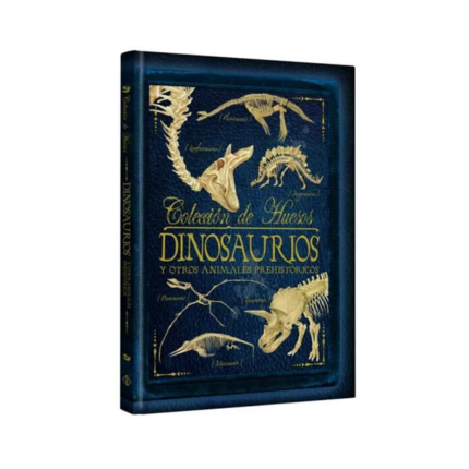 Colección huesos de dinosaurios